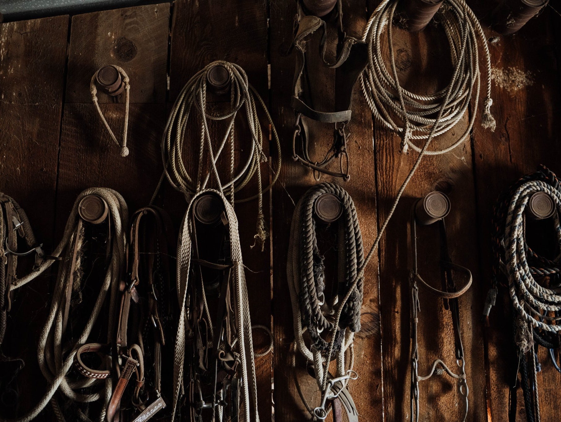 Fall Drop: Fresh Boots, New Batches & Bold Statements