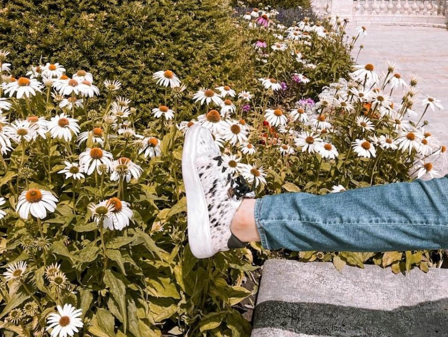 Walking Through Memories: My Journey with Stiefeld Footwear - Stiefeld Boots