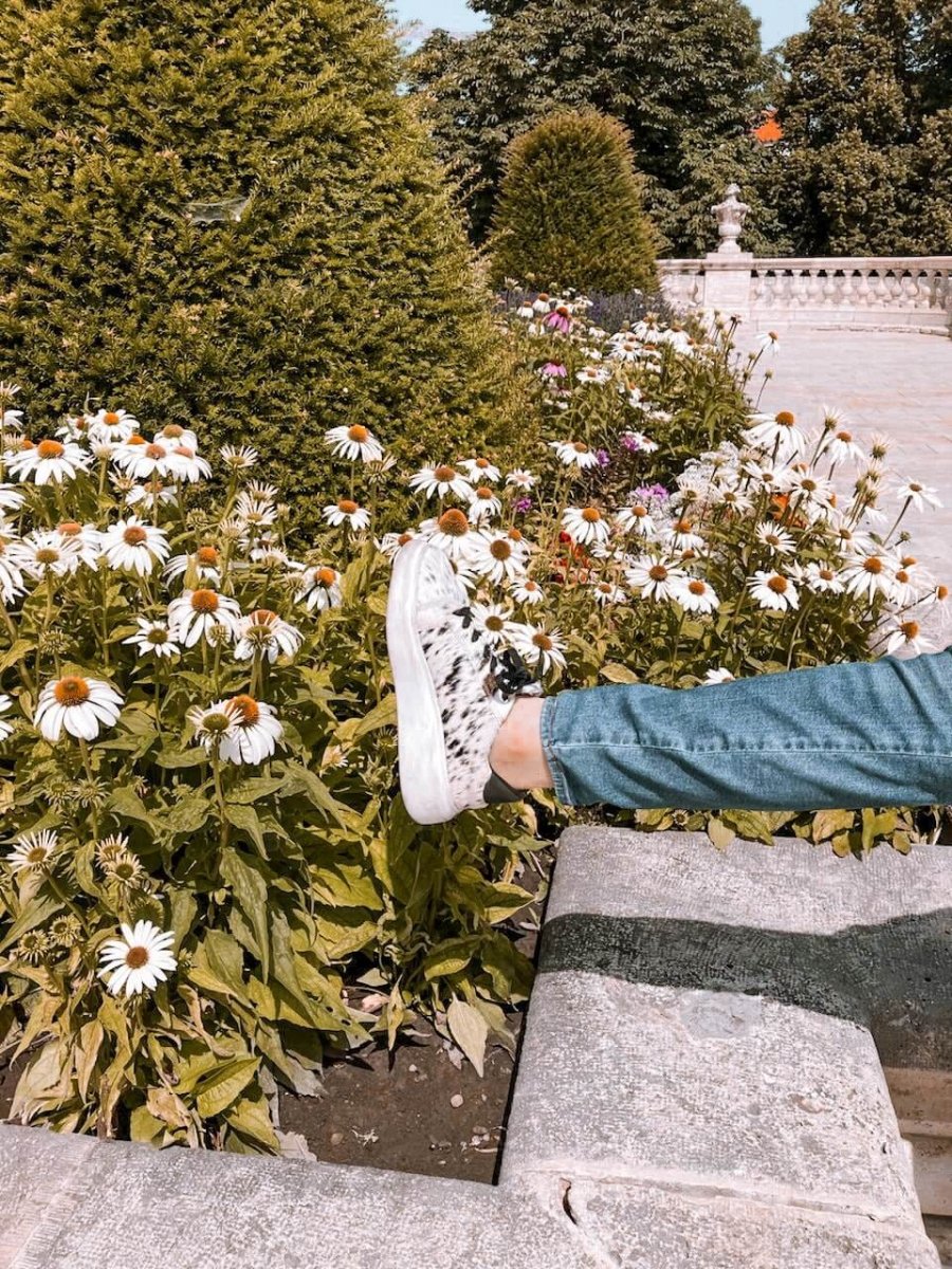 Walking Through Memories: My Journey with Stiefeld Footwear - Stiefeld Boots